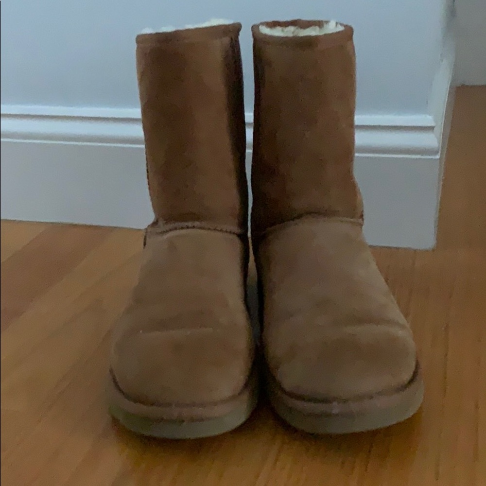 Short Chestnut Ugg Boots